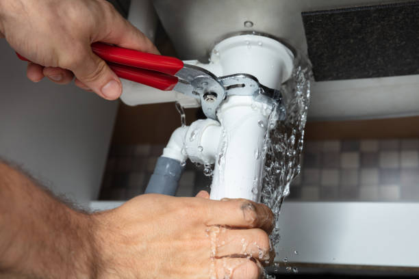  Haleiwa, HI Water damage restoration Pros