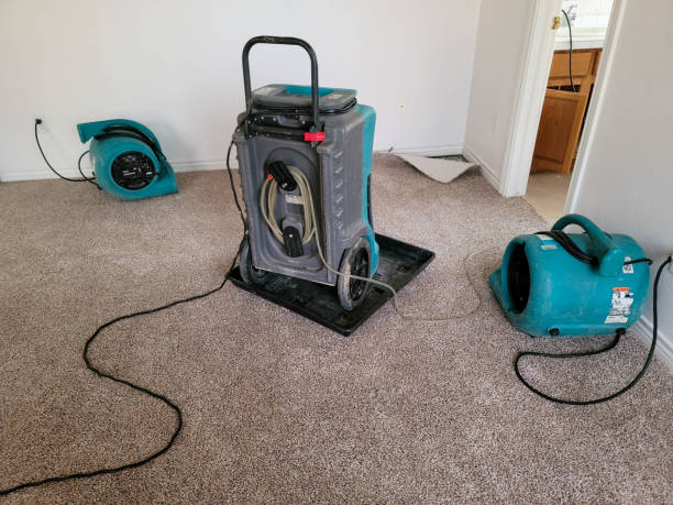Best Mold removal after water damage  in Haleiwa, HI