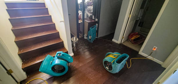 Best Ceiling water damage repair  in Haleiwa, HI