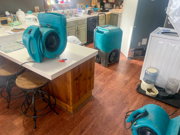 Best 24-hour water damage restoration  in Haleiwa, HI