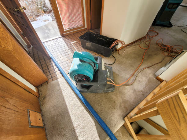 Best Emergency water damage restoration  in Haleiwa, HI