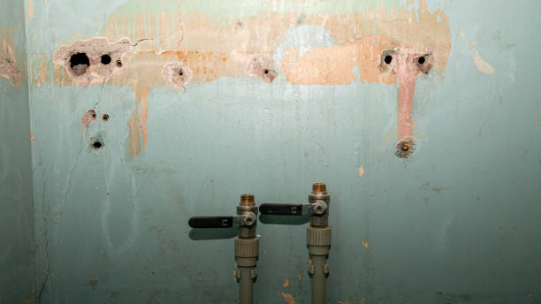 Best Water damage contractors near me  in Haleiwa, HI