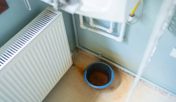 Best Water damage cleanup near me  in Haleiwa, HI