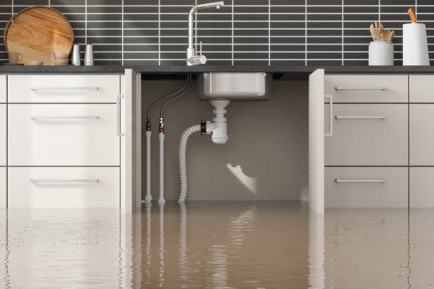Best Carpet water damage restoration  in Haleiwa, HI