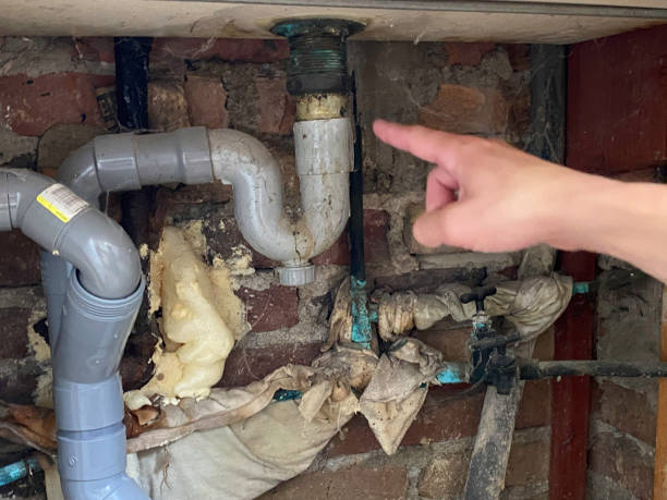 Best Water damage repair service  in Haleiwa, HI